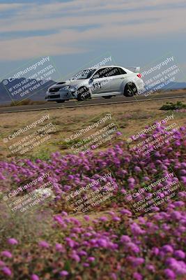 media/Jan-08-2023-SCCA SD (Sun) [[8f6a5b9391]]/Intermediate Group/Session 2 (Short Straight)/